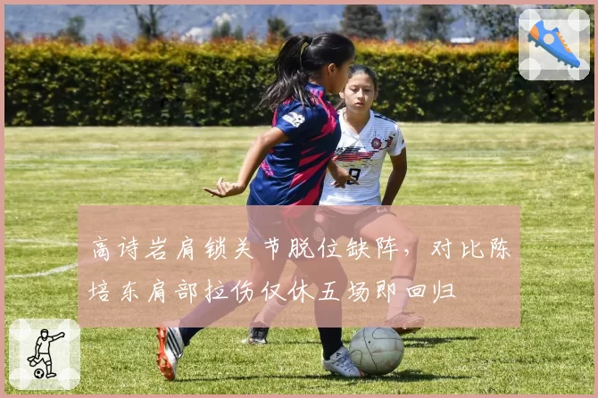 高诗岩肩锁关节脱位缺阵，对比陈培东肩部拉伤仅休五场即回归