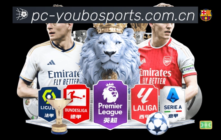 全球访问热力分布图